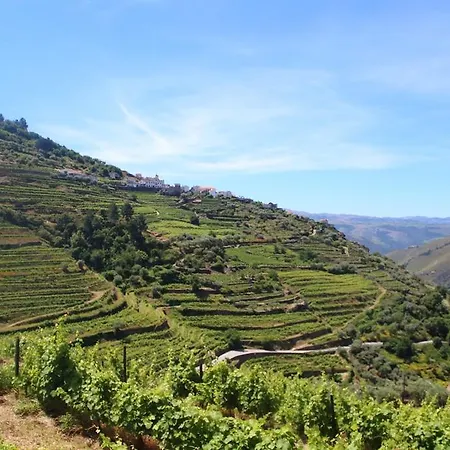 Casa Da Bela Vista Casal de Loivos