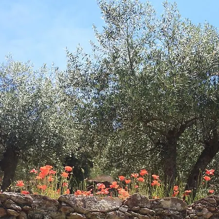 Guest house Casa Da Bela Vista 3*