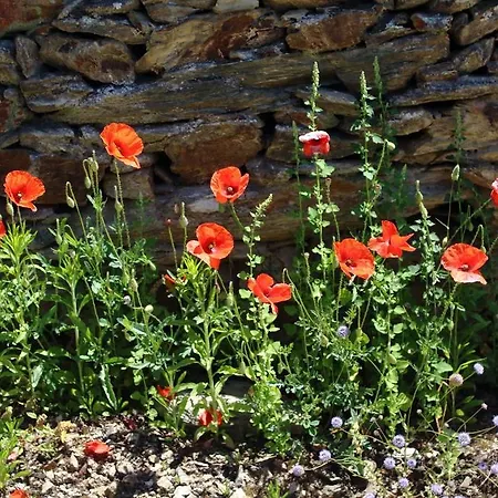 Penzion Casa Da Bela Vista Casal de Loivos
