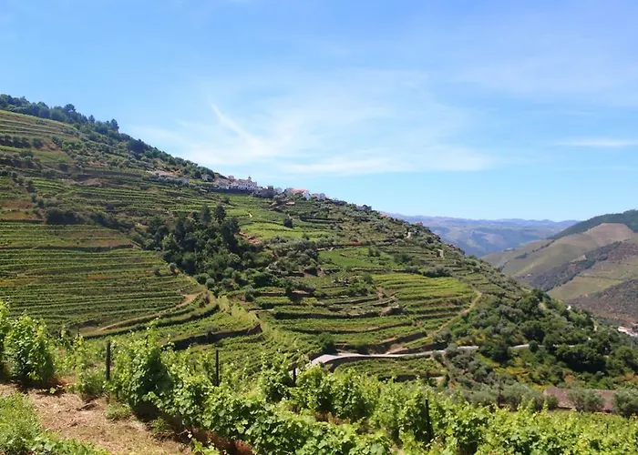 Casa Da Bela Vista Casal de Loivos