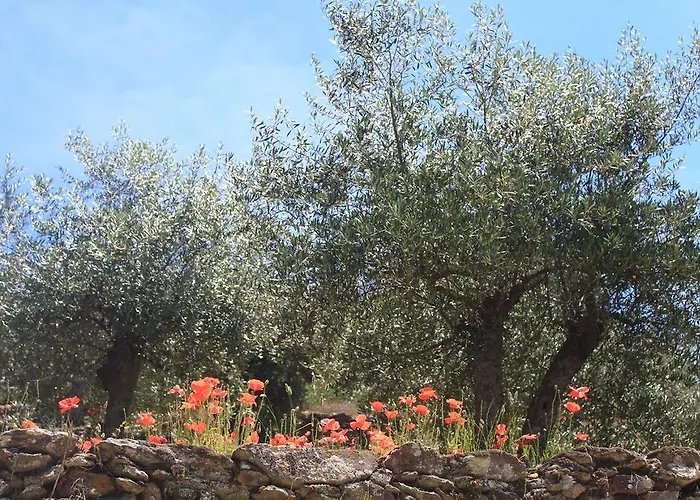 Casa de hóspedes Casa Da Bela Vista 3*