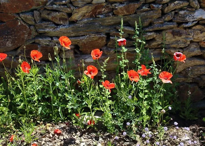 Casa de hóspedes Casa Da Bela Vista Casal de Loivos